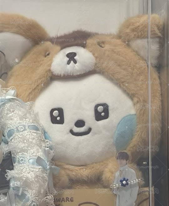 奎中娃