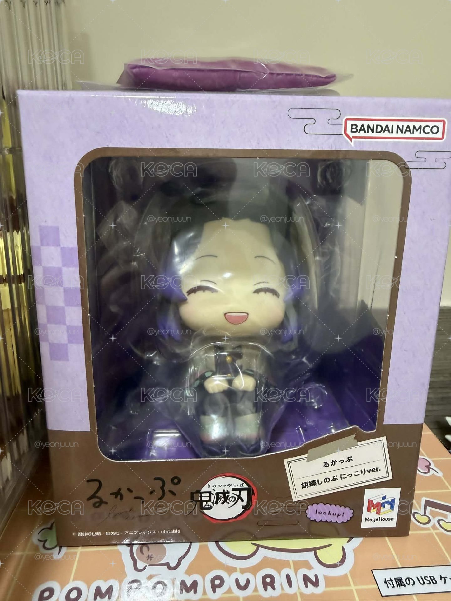 蝴蝶抬頭