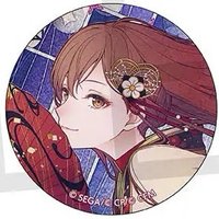 細閃 vol.38 C 徽章 新年花後