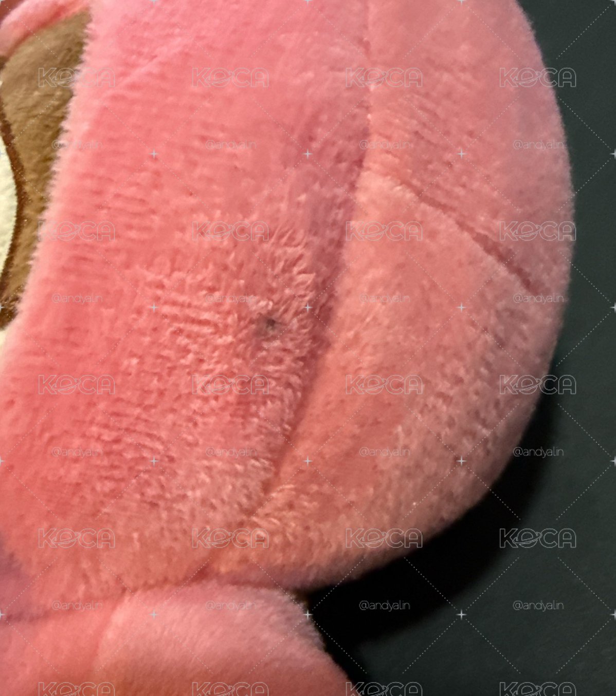 MOMO 人形娃
