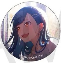 細閃 vol.39 A 徽章 wl花前