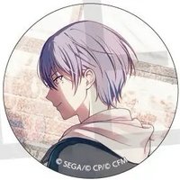 細閃 vol.39 A 徽章 wl花前