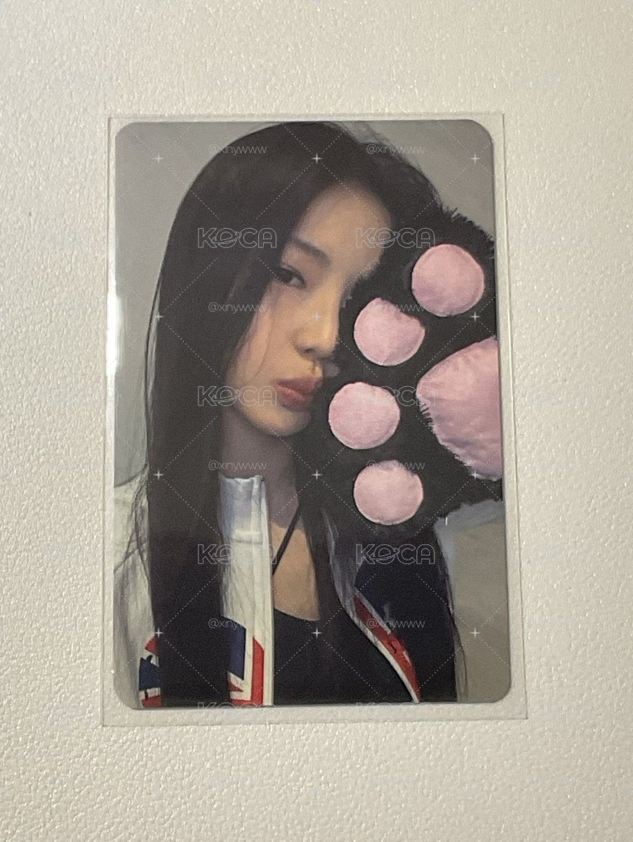 貓爪露
