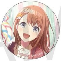 細閃 vol.41 A 徽章 白情花前