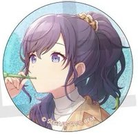 細閃 vol.41 A 徽章 白情花前