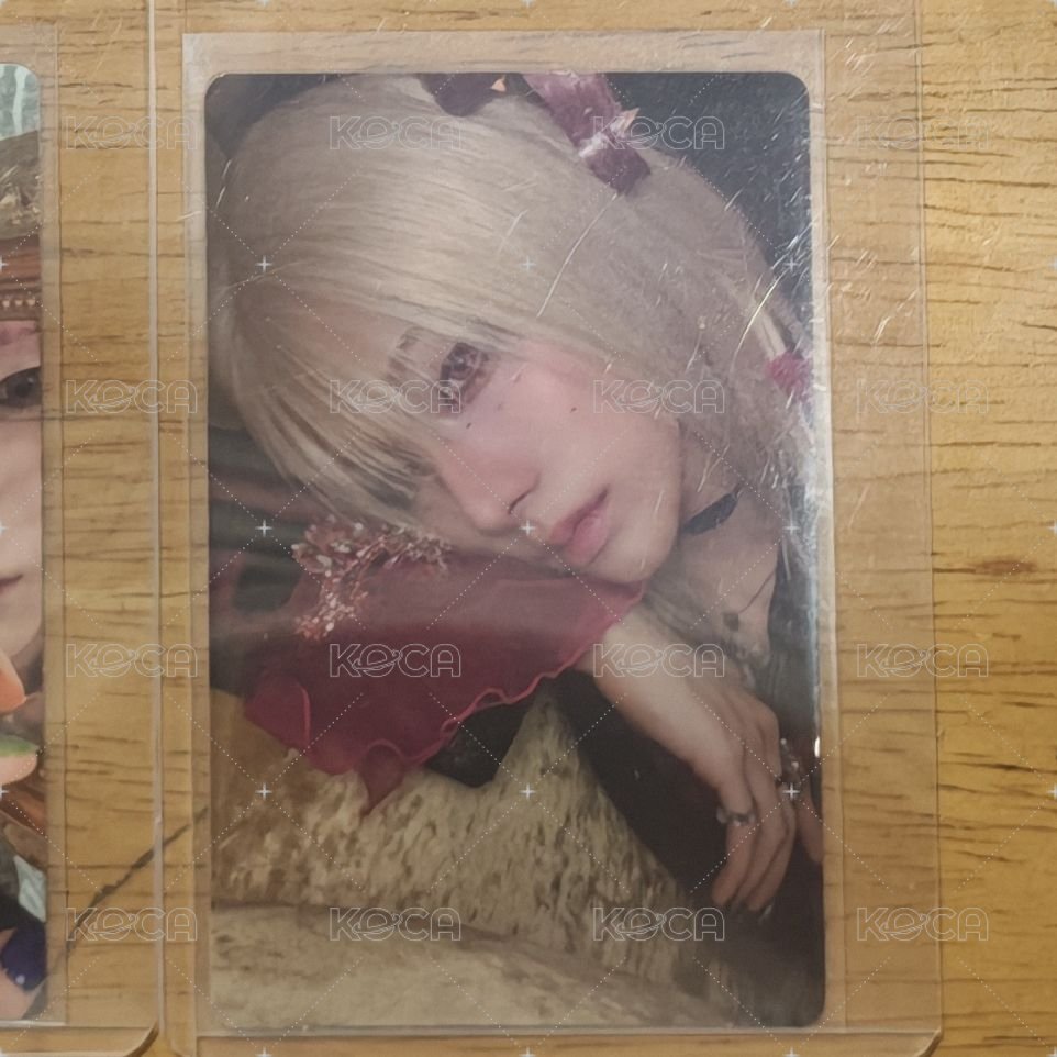 rui 專卡（2）
