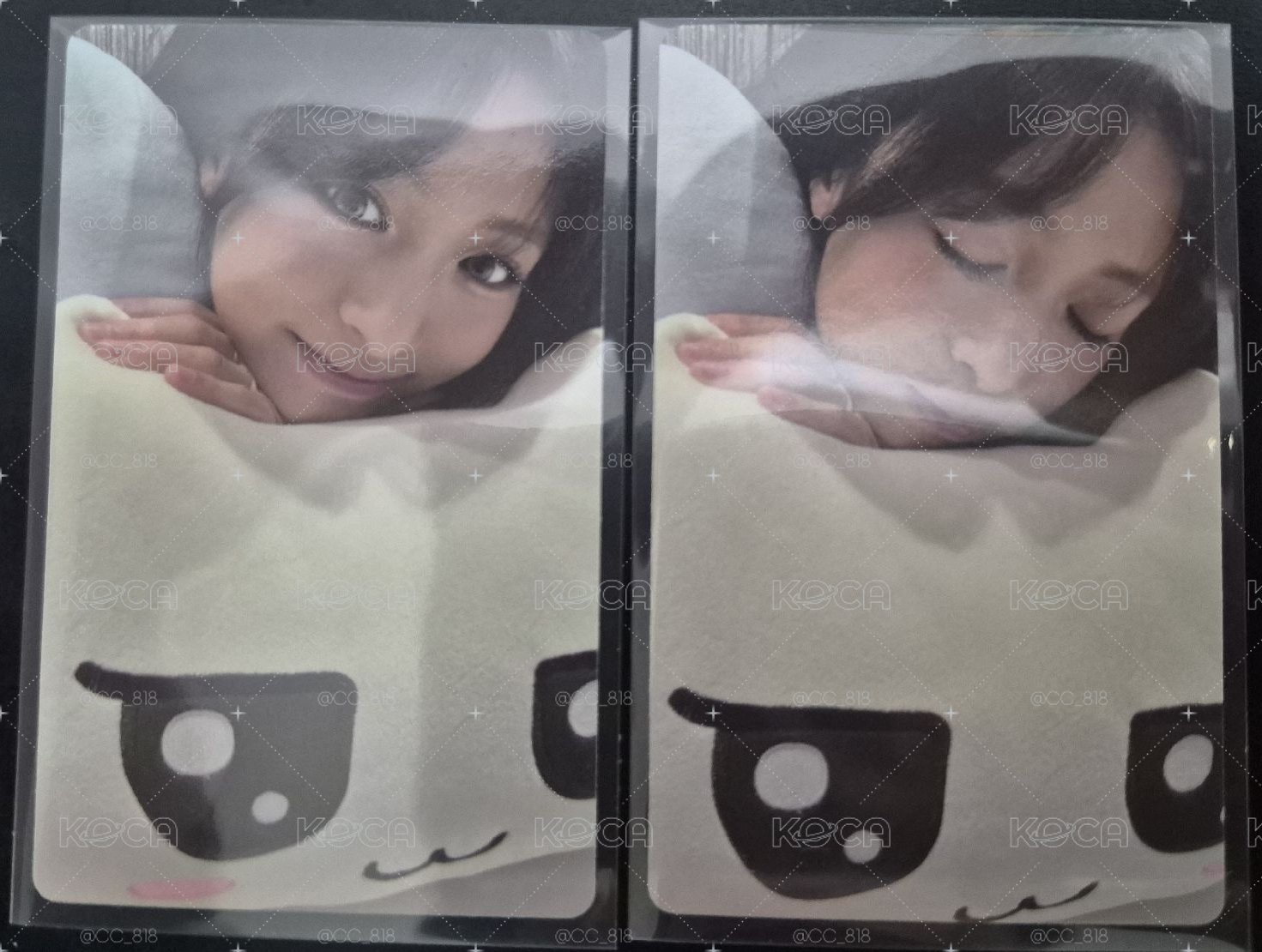 早鳥AB賢 在台現貨 速出