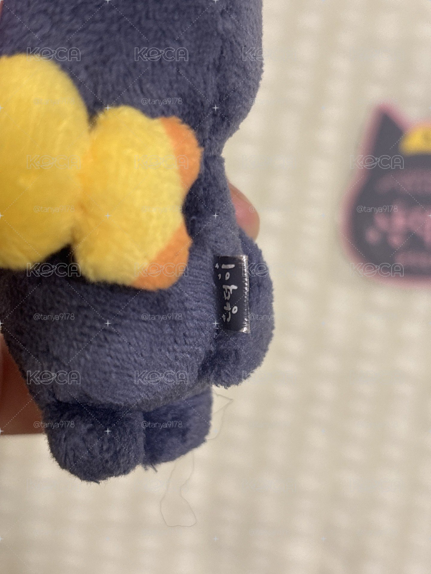 原皮兔貓鴨