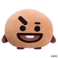 BT21 大娃 30公分抱枕