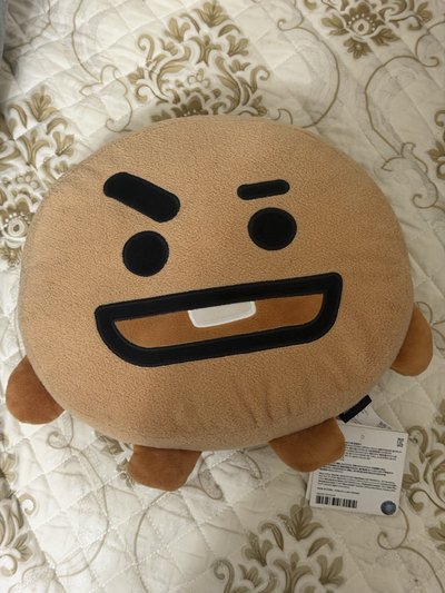 BTS Shooky 30公分抱枕