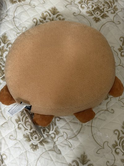 BTS Shooky 30公分抱枕
