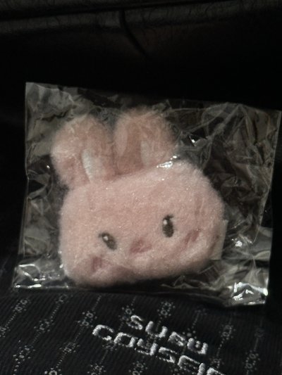 ANITEEZ IN COLOR 鑰匙圈吊飾 LINKABLE FACE KEYRING 星