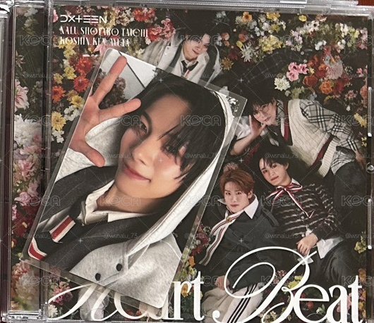 歩汰 HEARTべあT 通常盤全專