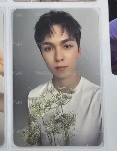 vernon