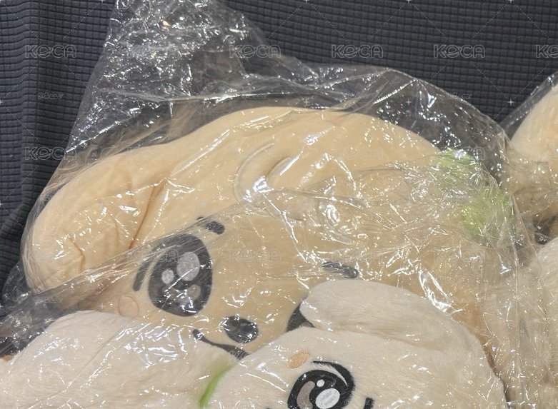 絕版康安吉03大頭抱枕 全新未拆
