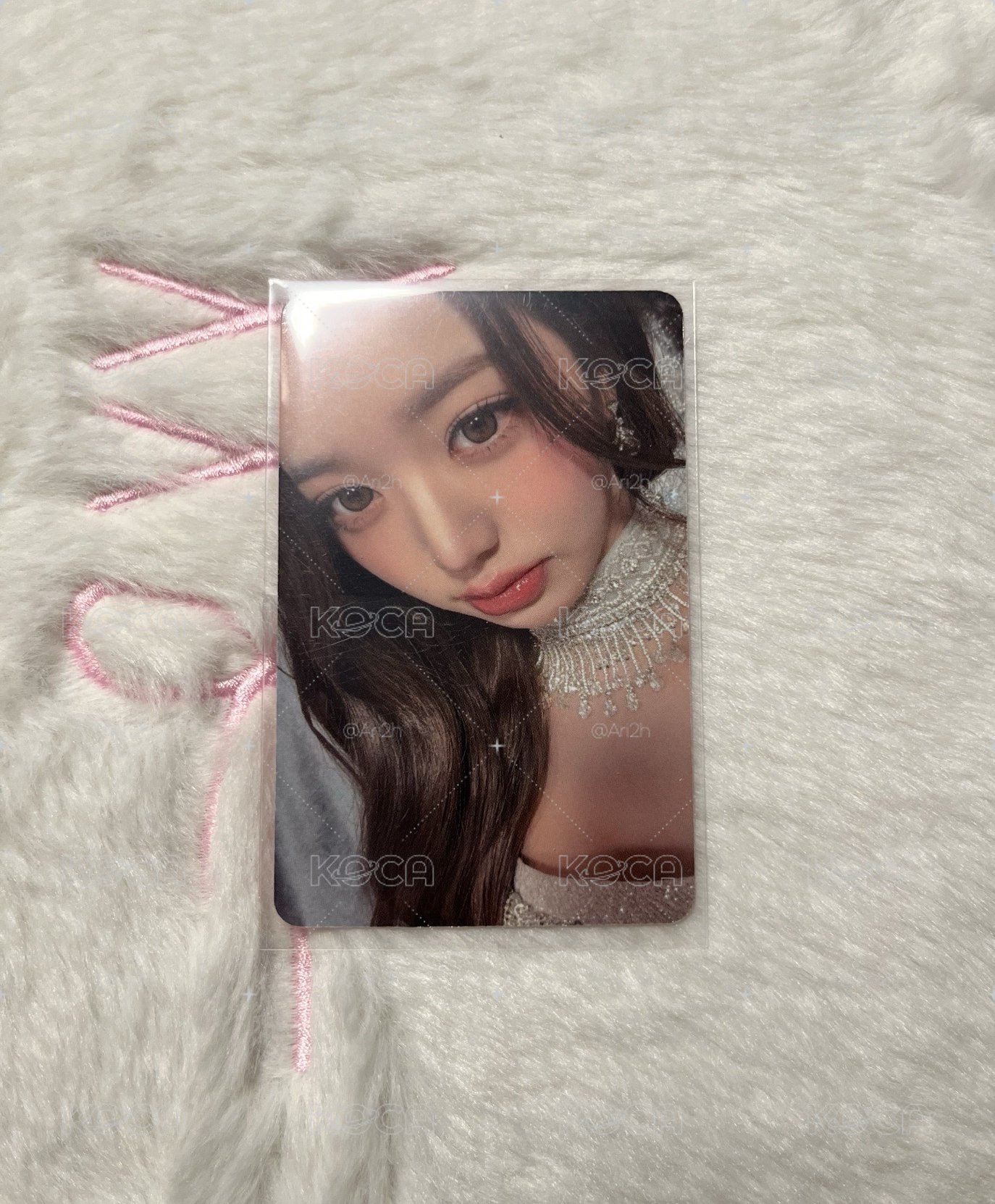 寶格麗員🐰