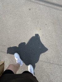 🐟