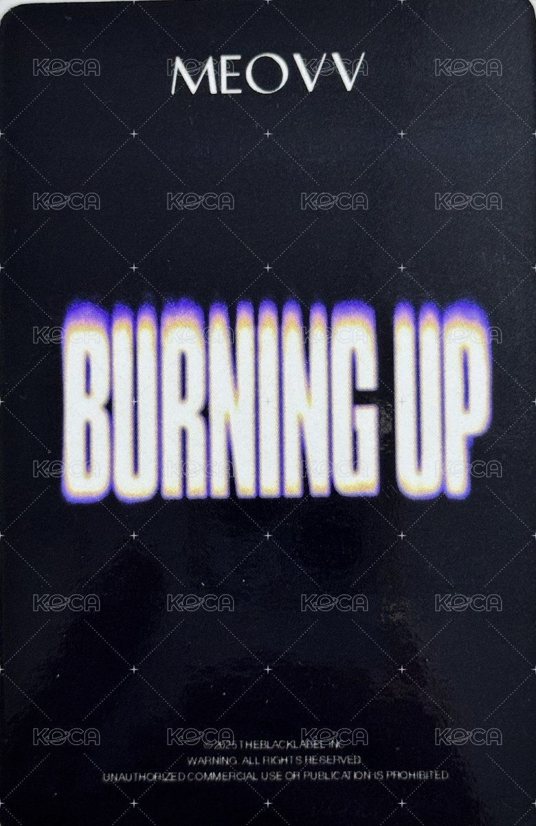 BURNING UP 特典卡 美國曲奇 背面