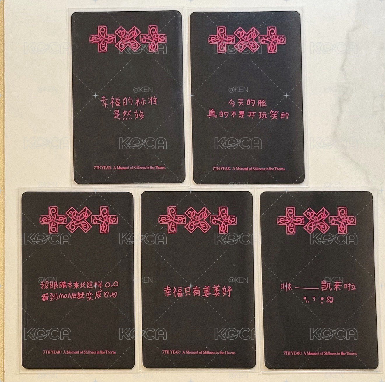 txt一直娛預售