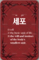 ENHYPEN Lyrics Guide Binder Book 歌詞卡  背面