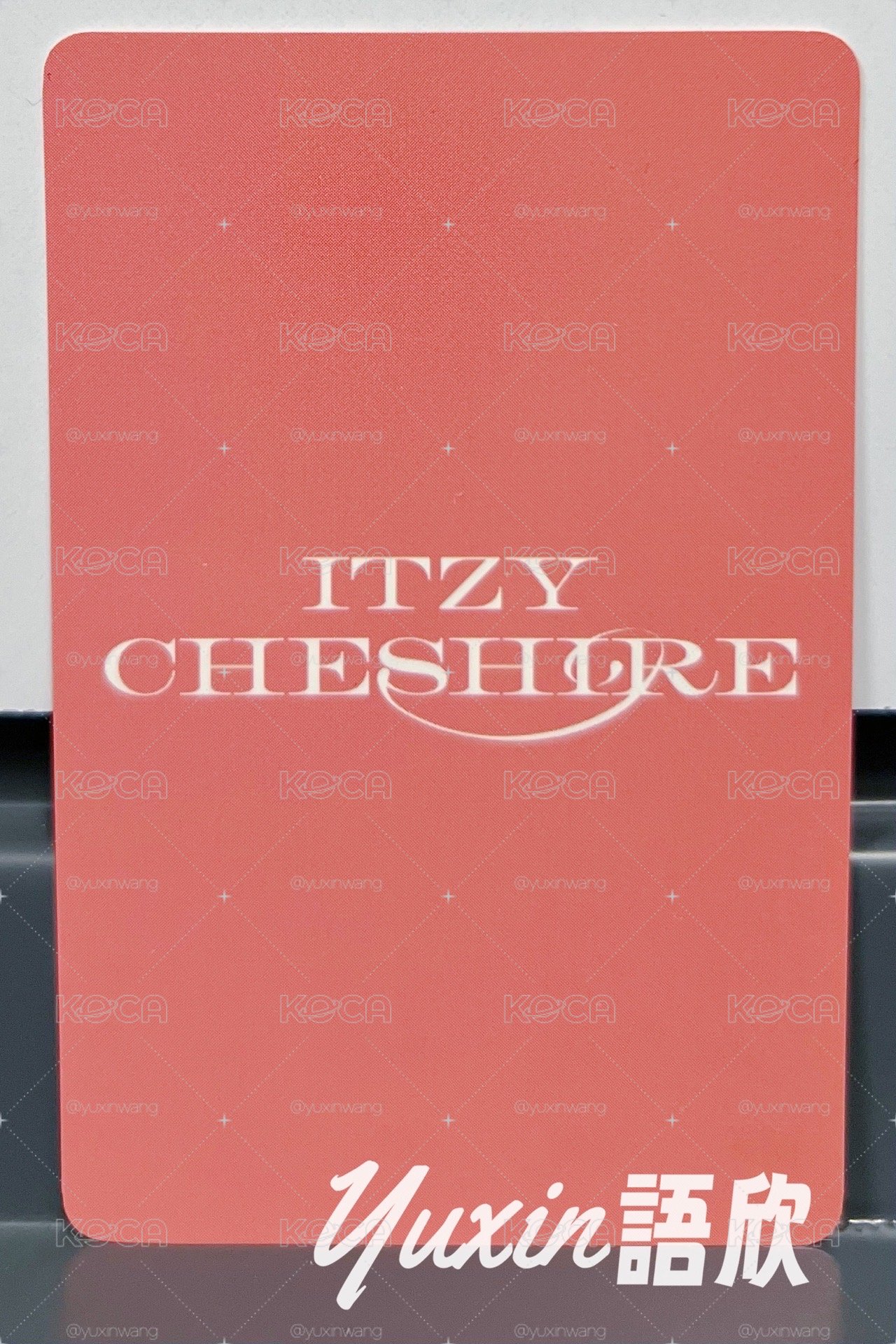 現貨✅ ITZY CHESHIRE 專輯 MUSICPLANT MP 特典 小卡