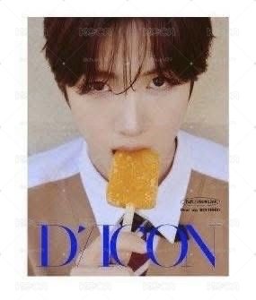 DICON Boyhood 英宰A版