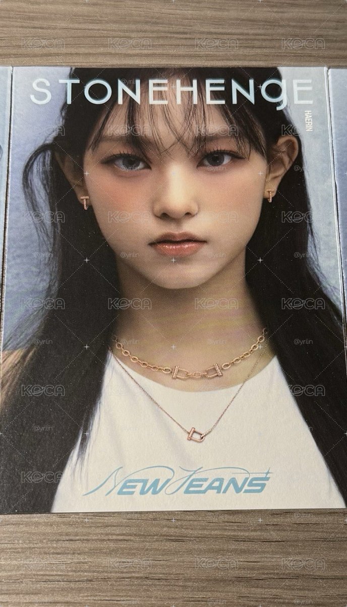 巨石摺頁 貓