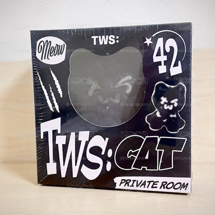 TWS 🐈‍⬛娃專現貨 日通(含特典) / 韓通 