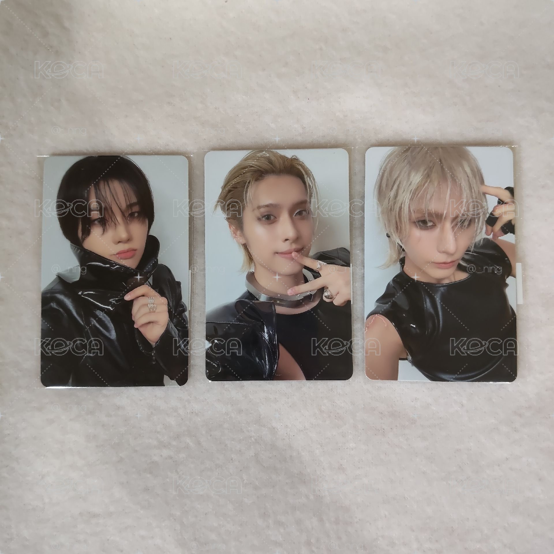fans sc特典
