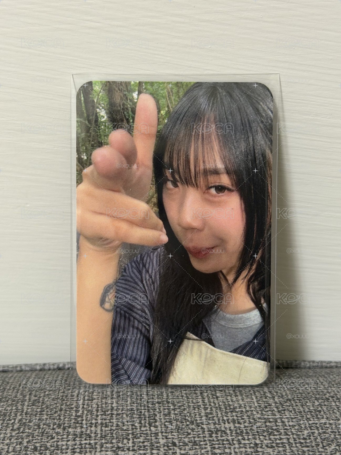 李泳知小卡