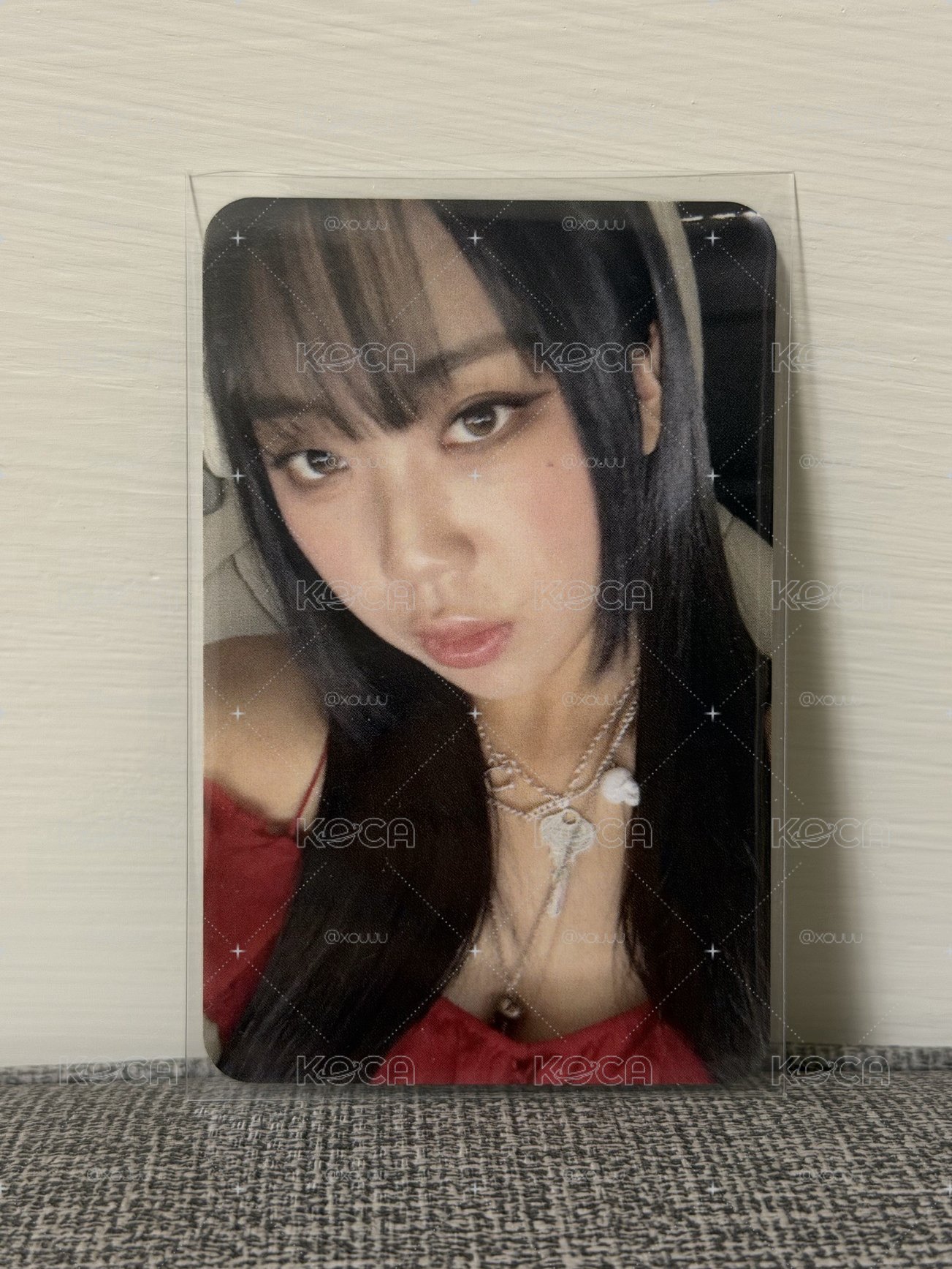 李泳知小卡