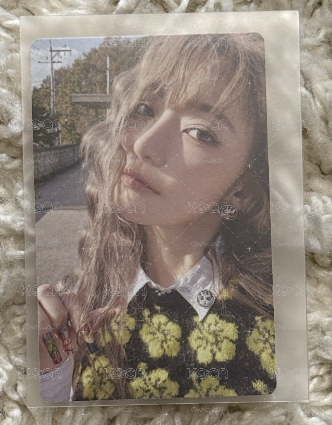 hello82 櫻花