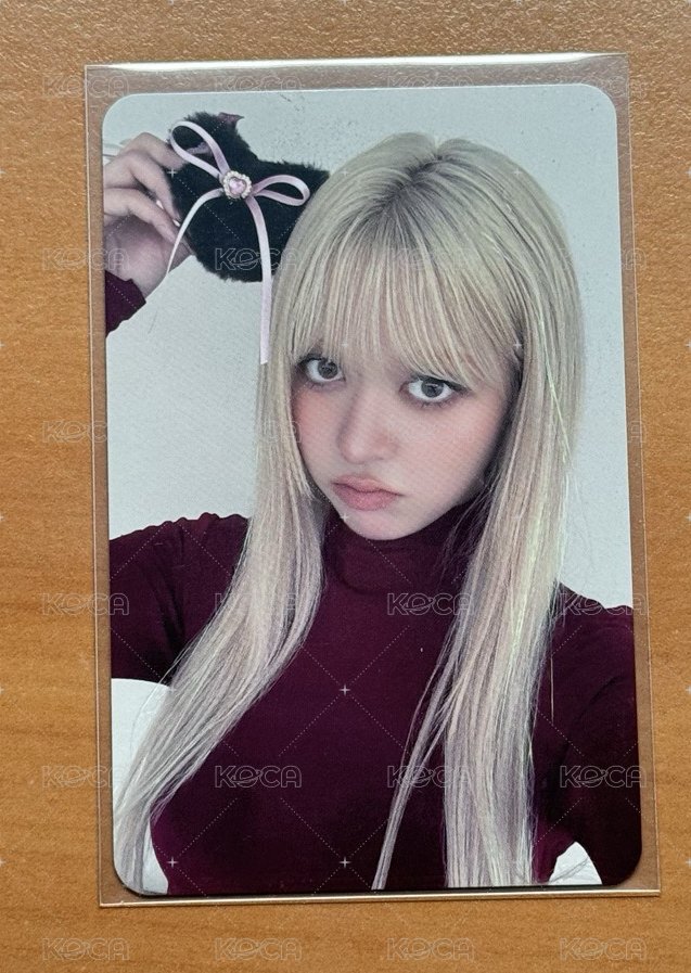 貓咪莉