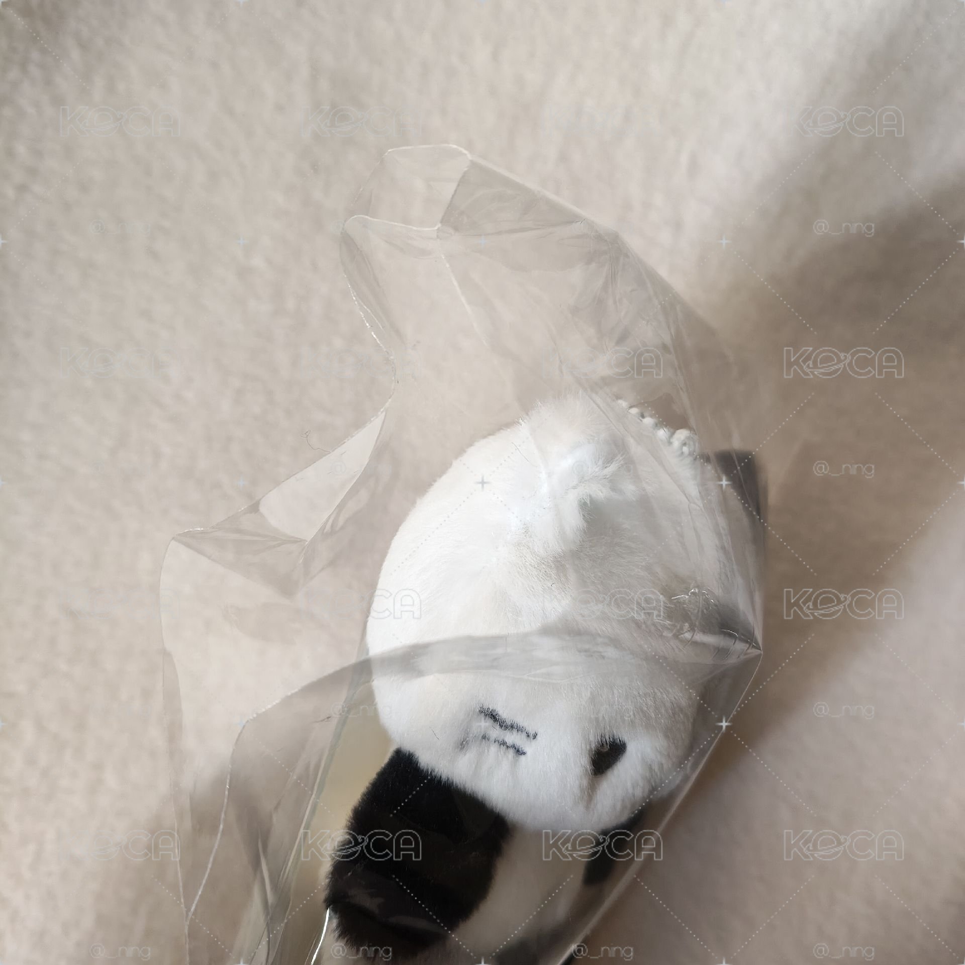 酥鴨寶寶娃(現貨 本體600價格含綁)