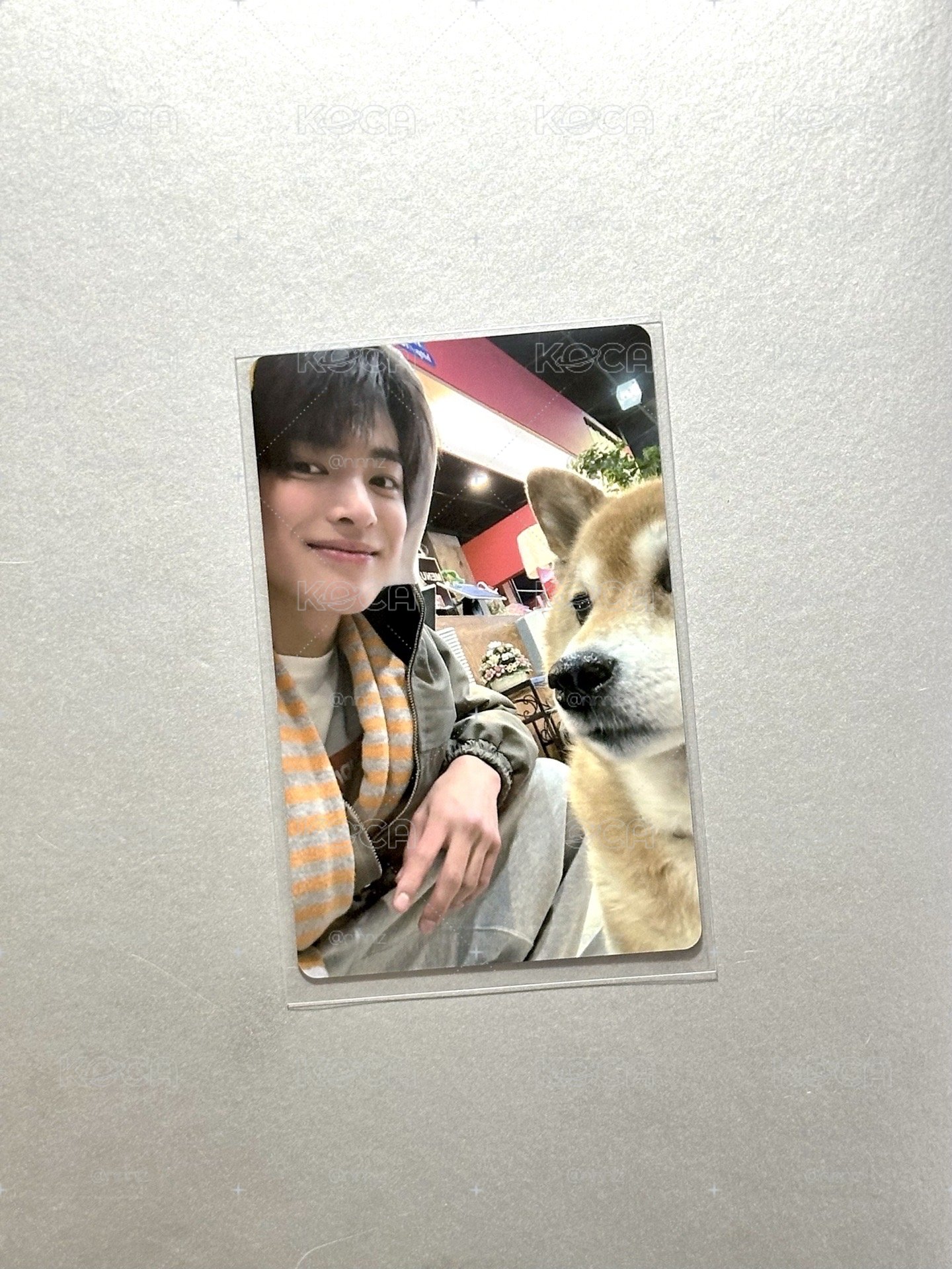 yzy幸運卡 安安