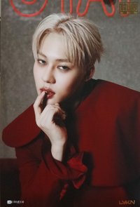 LYKN NO WAY 明信片 