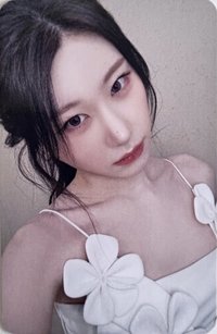 Motto ms 預售 特典卡 