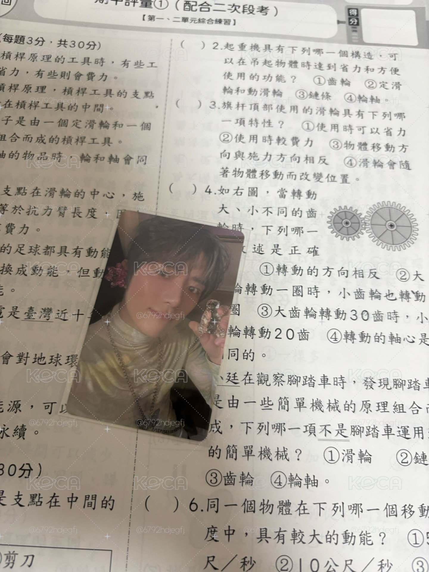 wvs特典圭