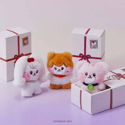 Line Friends 系列娃
