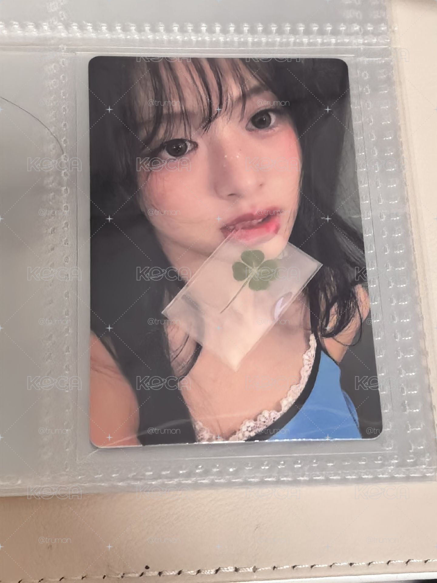 wvs幸运草