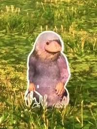 chu