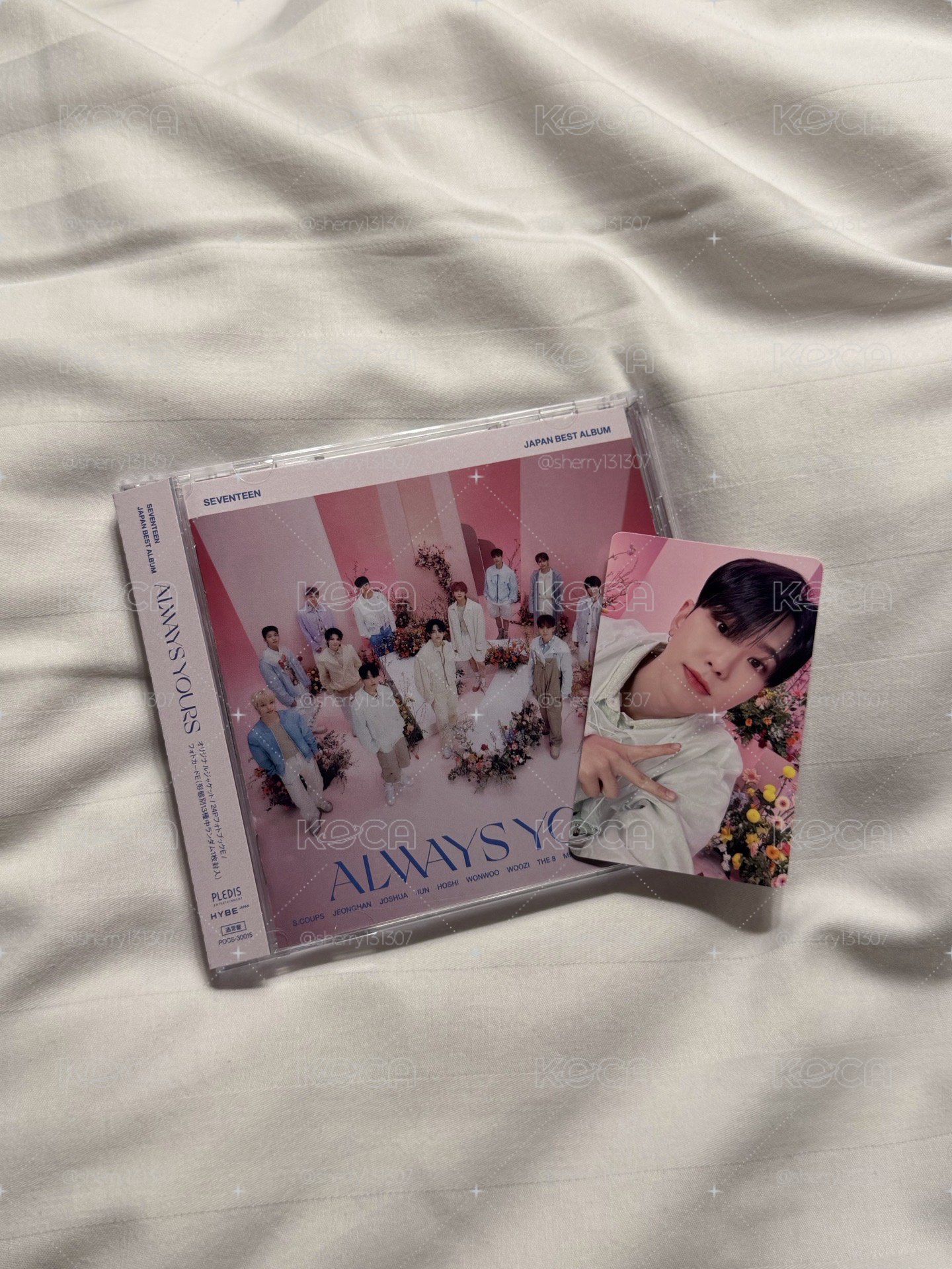 萌萌老虎 ఇ◝ ᴗ ◜ఇ