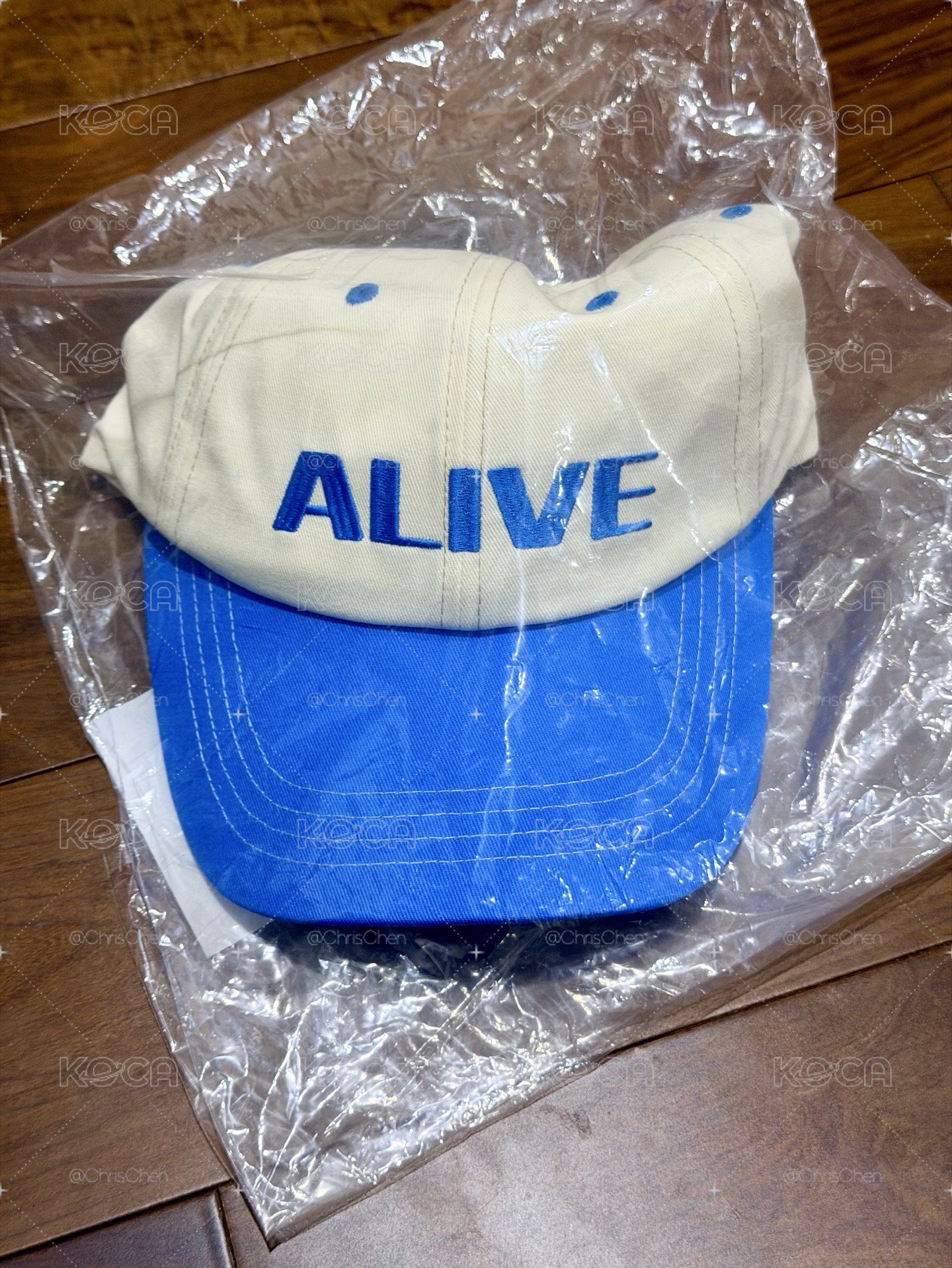東海 DONGHAE ALIVE 週邊 棒球帽 BALL CAP