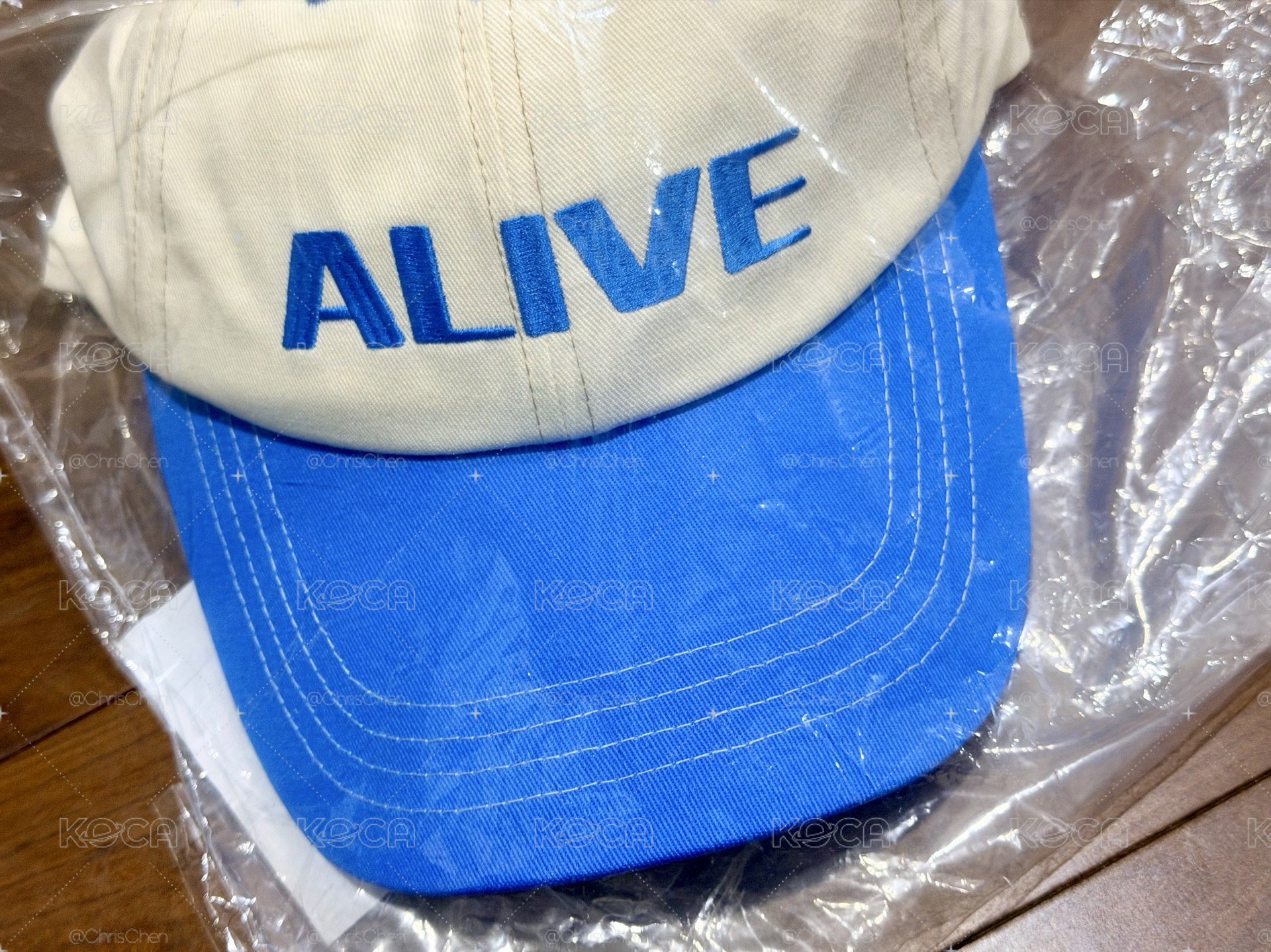 東海 DONGHAE ALIVE 週邊 棒球帽 BALL CAP