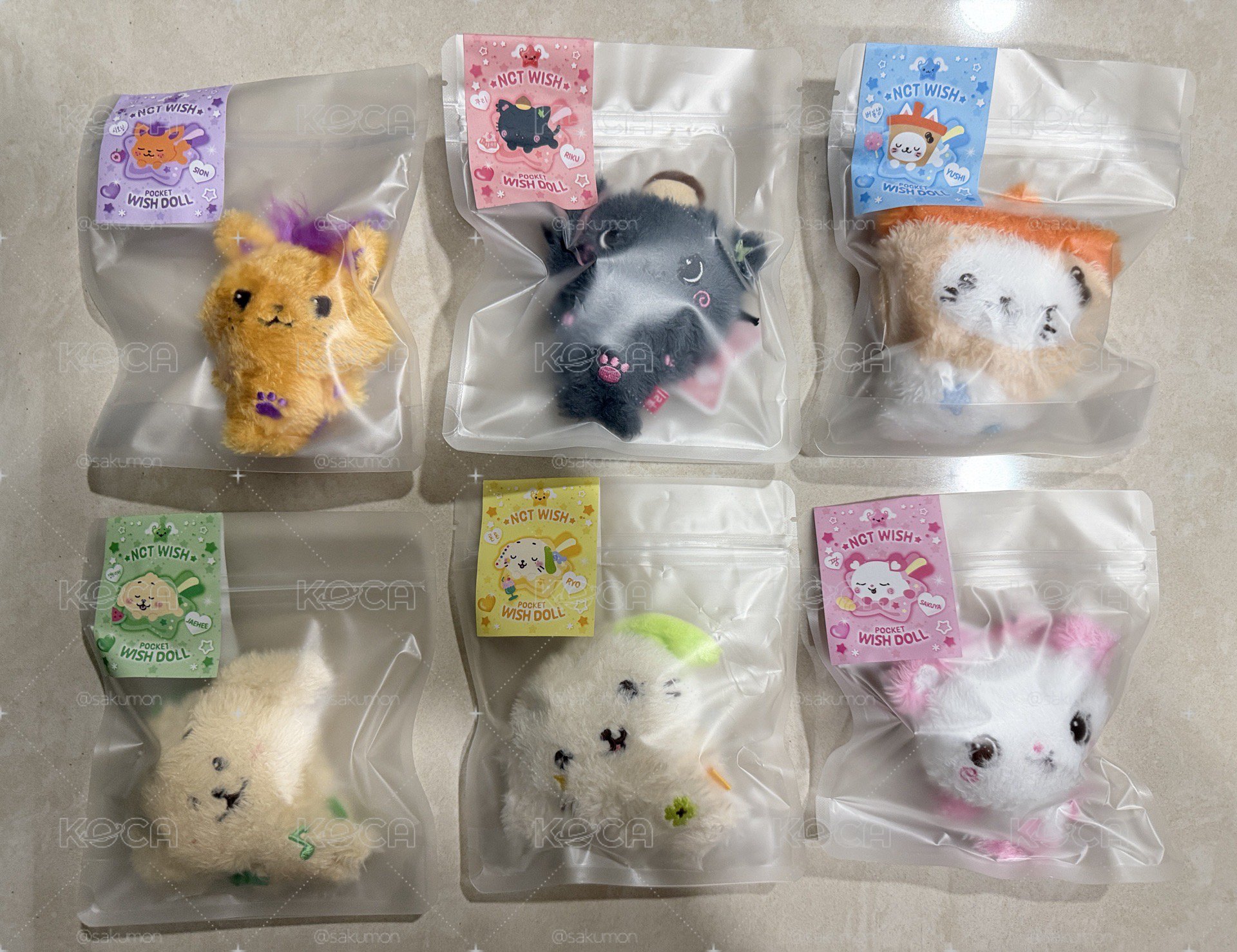 NCT WISH wish doll 口袋娃 現貨