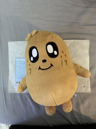 奎盤