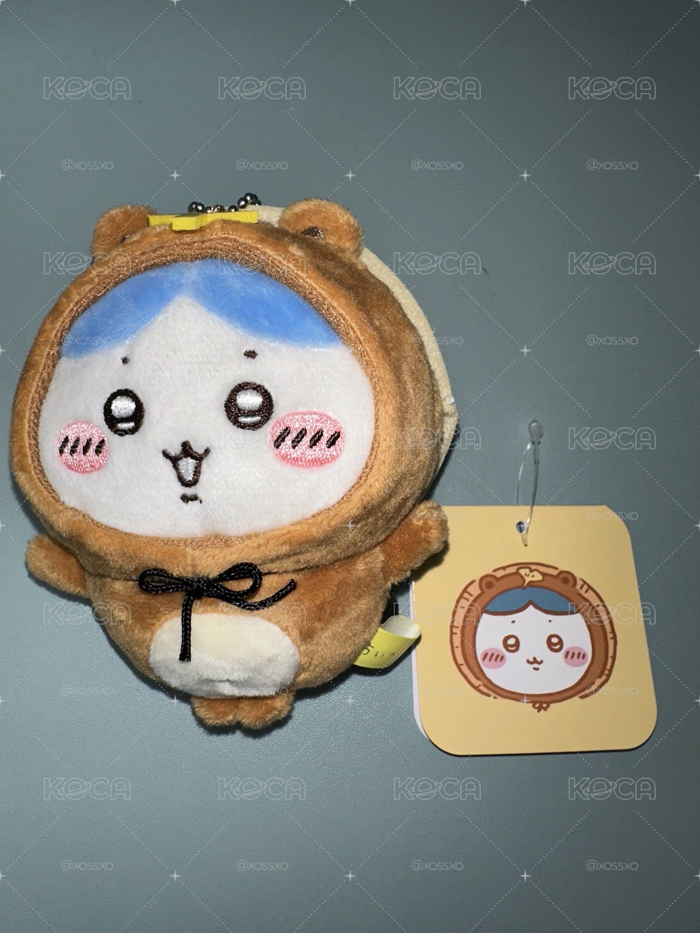 狸貓八 一番賞