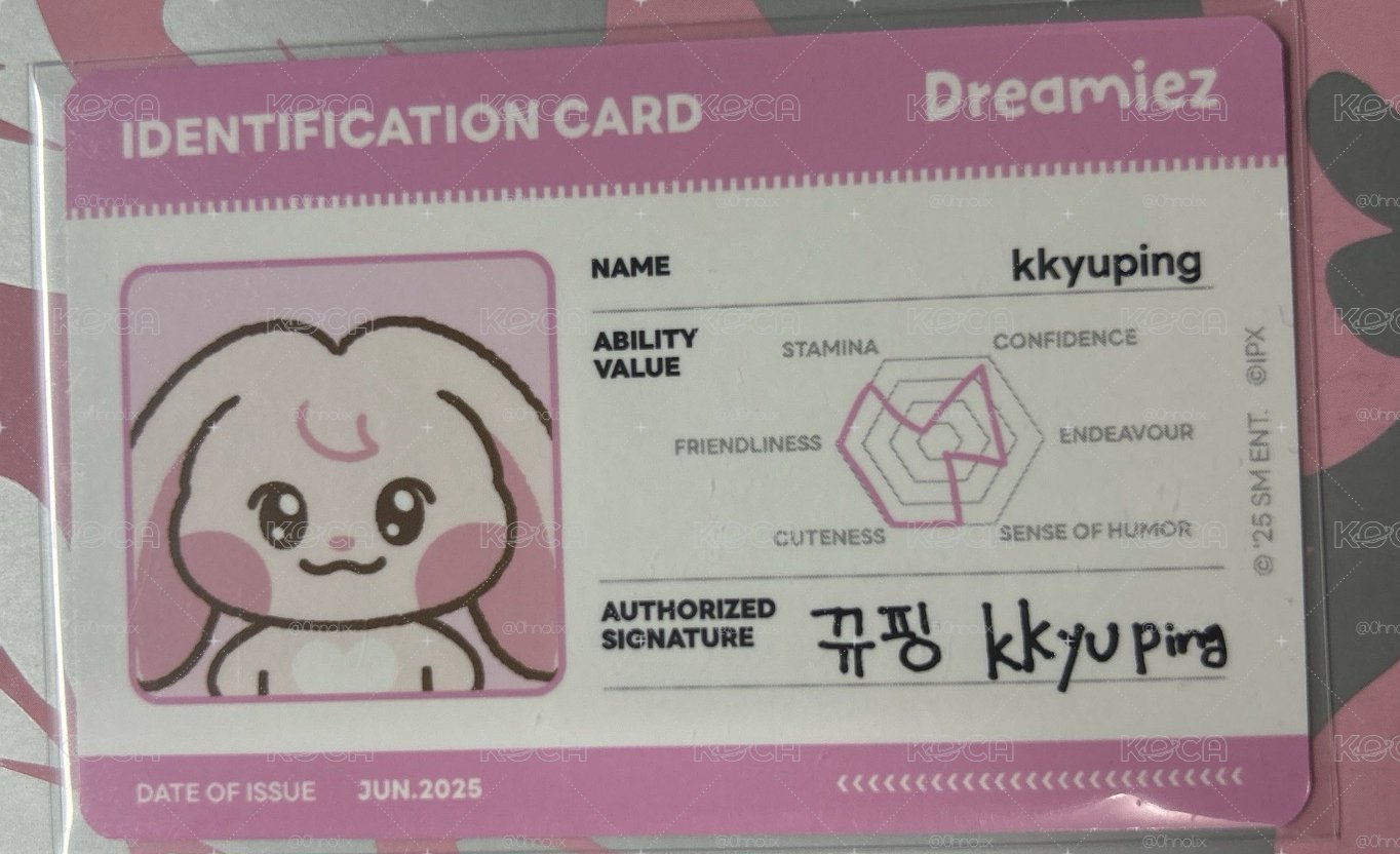 Dreamiez 周邊卡 娃卡 jaemin 羅渽民