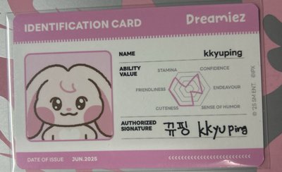 Dreamiez 周邊卡 娃卡 jaemin 羅渽民