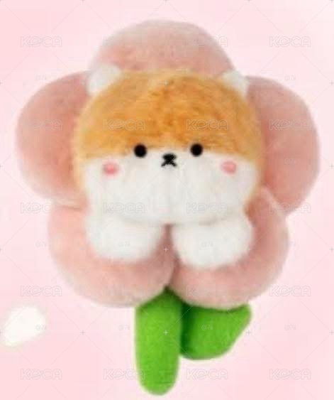 櫻花MD 吊娃 